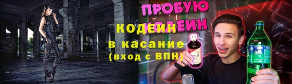 крисы Армянск