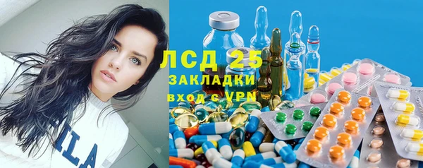 крисы Армянск