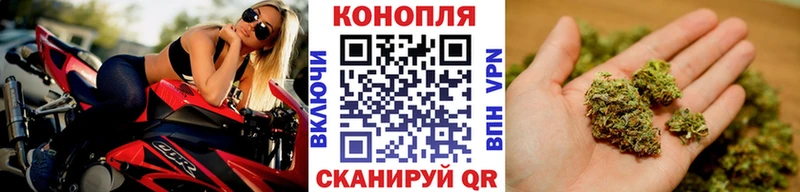 цены   Сасово  Бошки марихуана ГИДРОПОН 